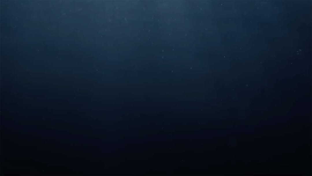 Birds diving in Latrabjarg