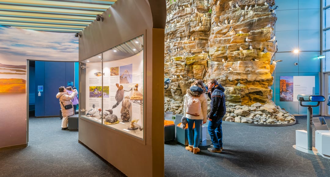 Wildlife bird exhibit in Perlan Reyakjvík