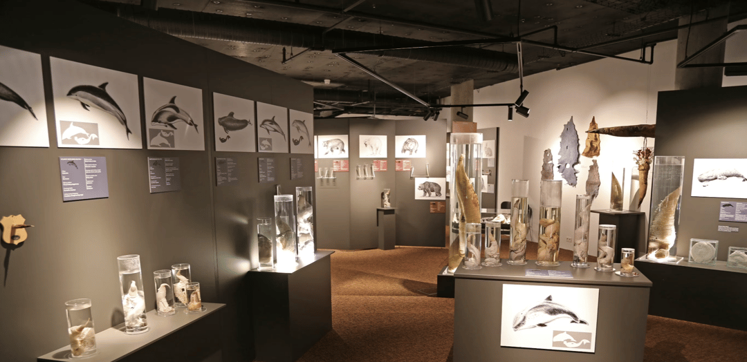 Museum in Reykjavik