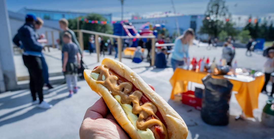 Icelandic Hot Dog