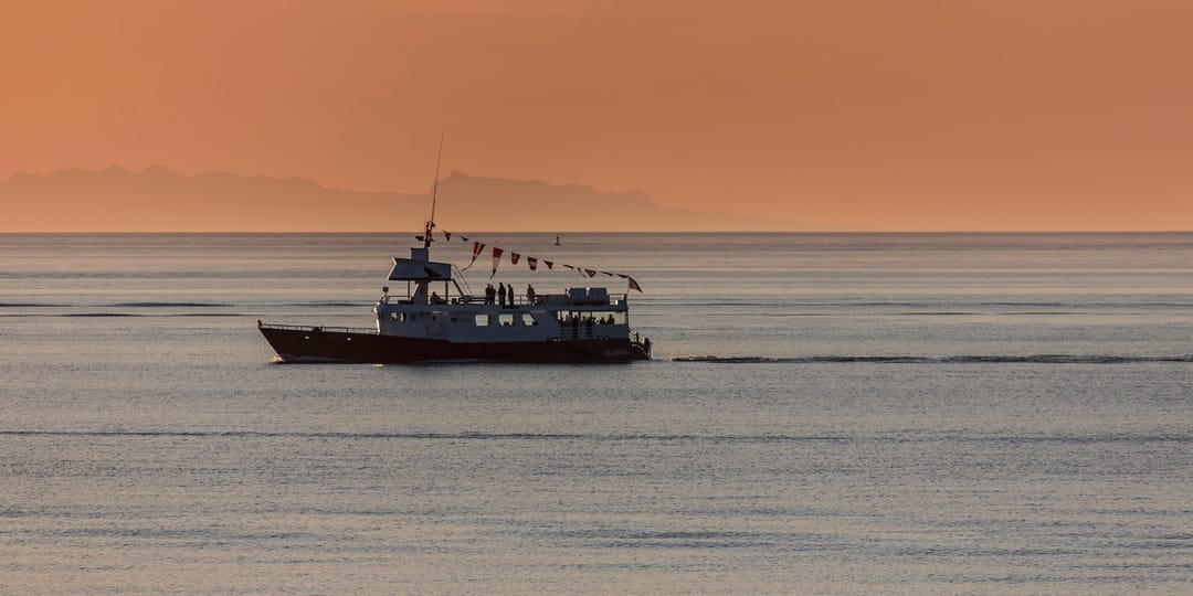 Whale watching in Faxafloi bay
