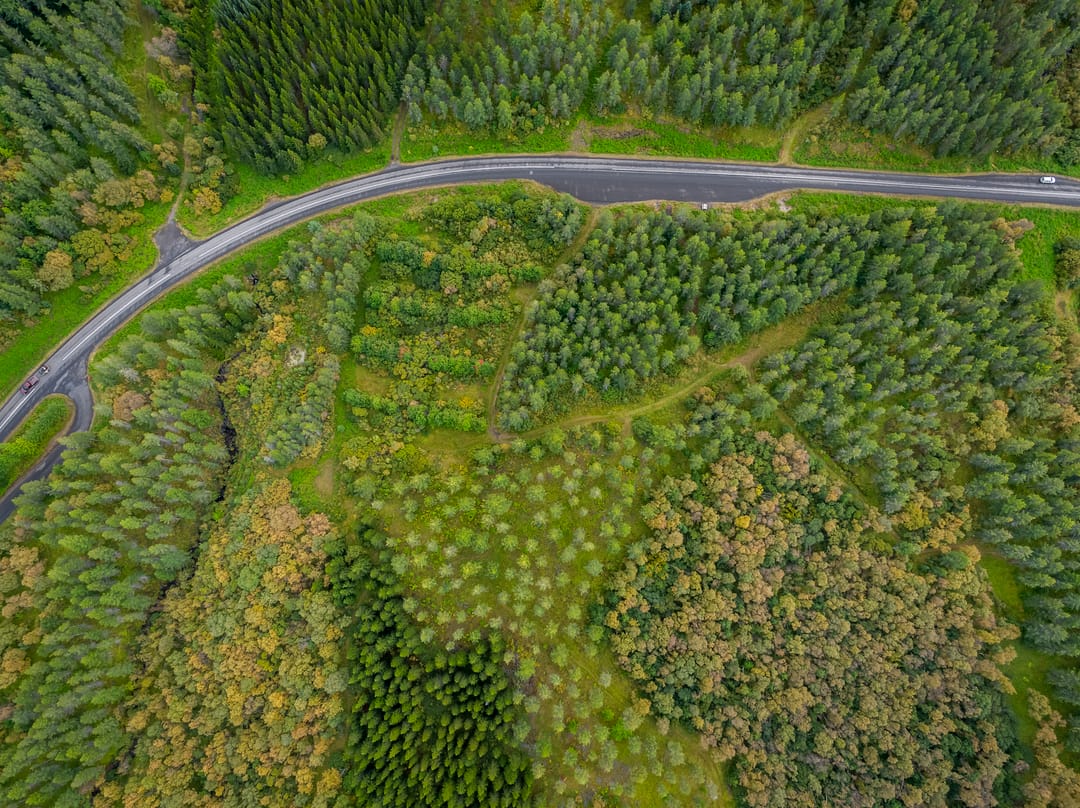 aerial view of Hallormstaðaskógur in summer with a winding road
