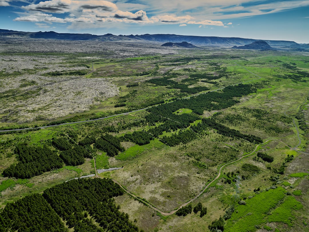 heiðmörk in summer