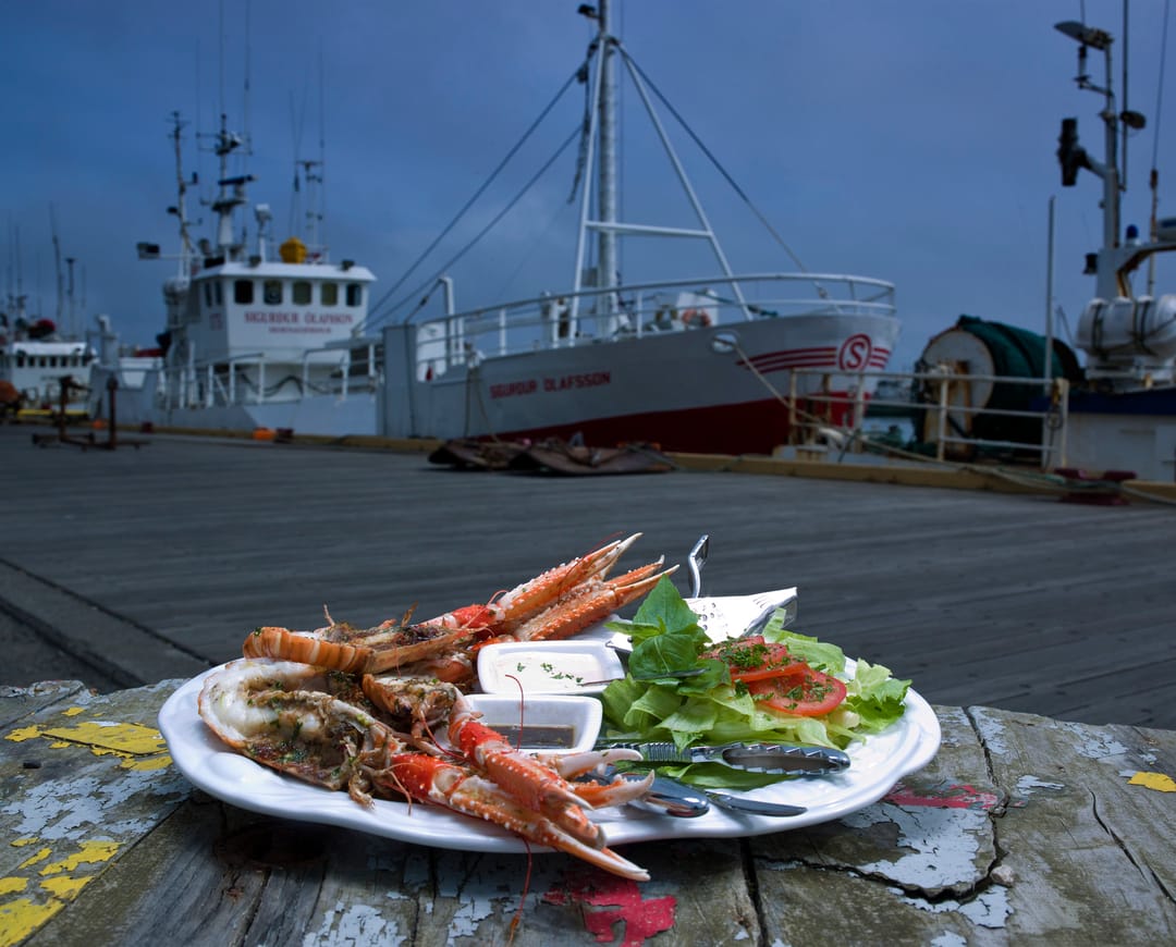 fresh seafood dish in Iceland