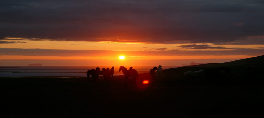 Sunset at drangaey
