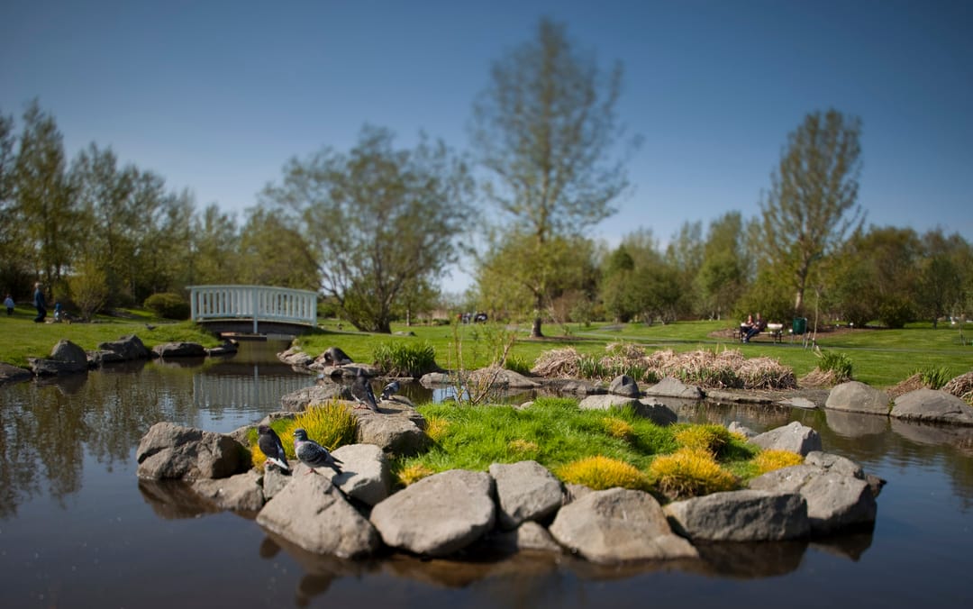 Reykjavík Botanical Garden