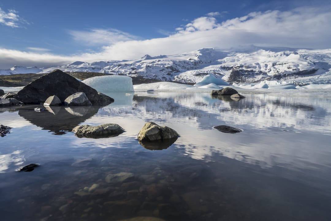 Fjallsarlon
