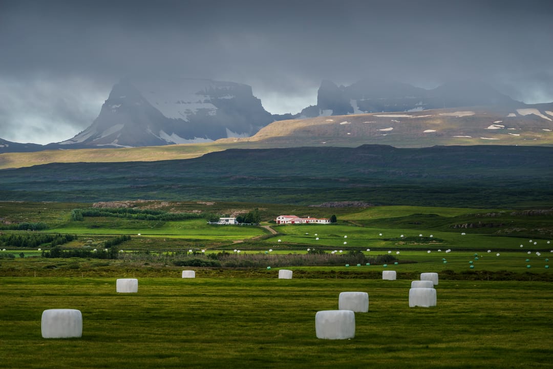 farmland in iceland with Dyrfjöll mountains in the background