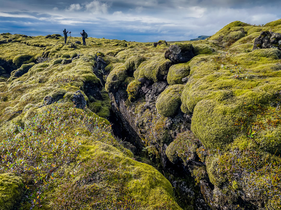 Two people on thick greenish grey Icelandic moss