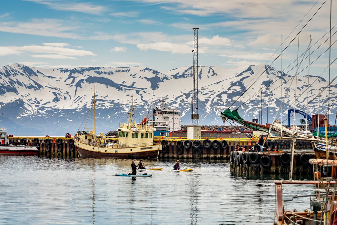 Husavik & Skjalfandi Bay