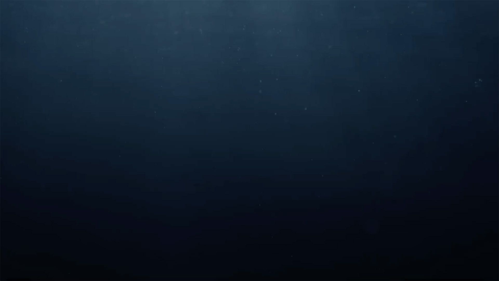 Birds diving in Latrabjarg