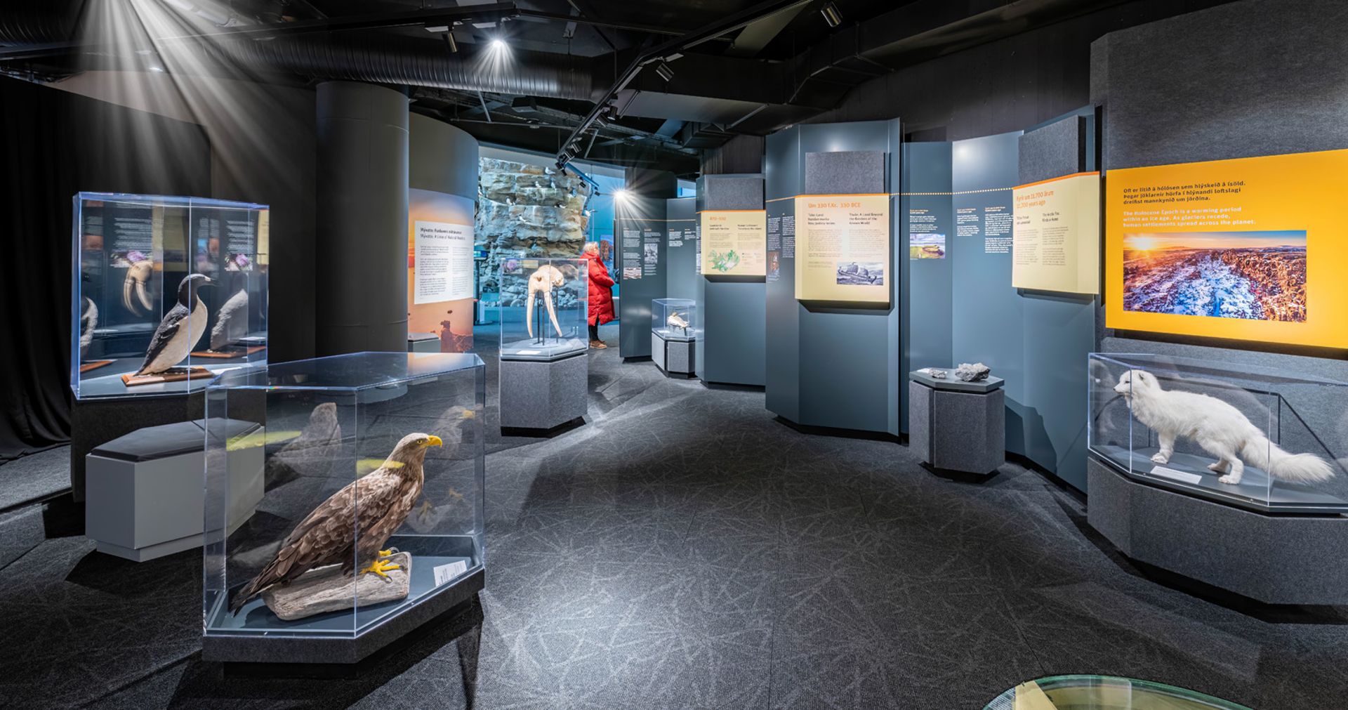 Timeline of Iceland exhibition
