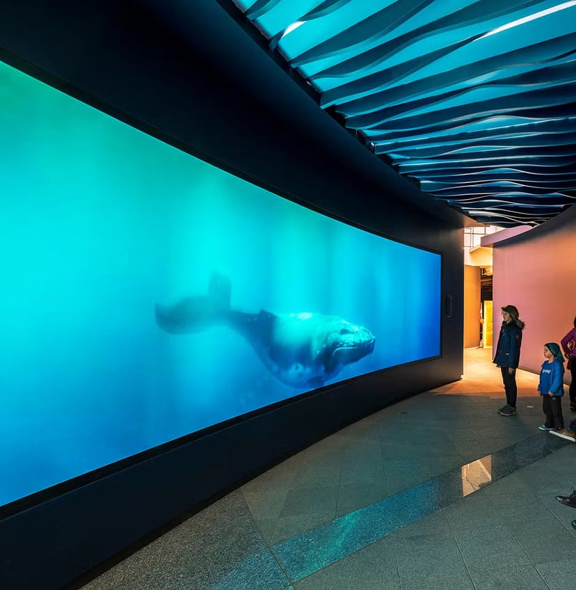 Virtual fish tank