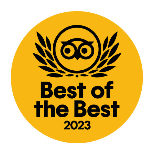 Best of the Best 2023